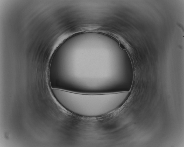 X0000092111432200709121121