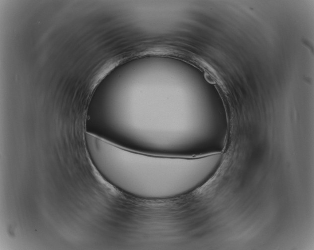 X0000092111433200709121121