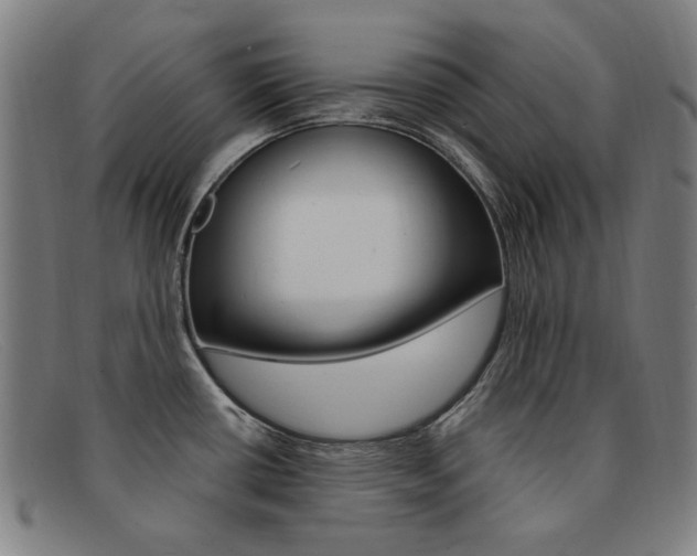 X0000092111434200709121121