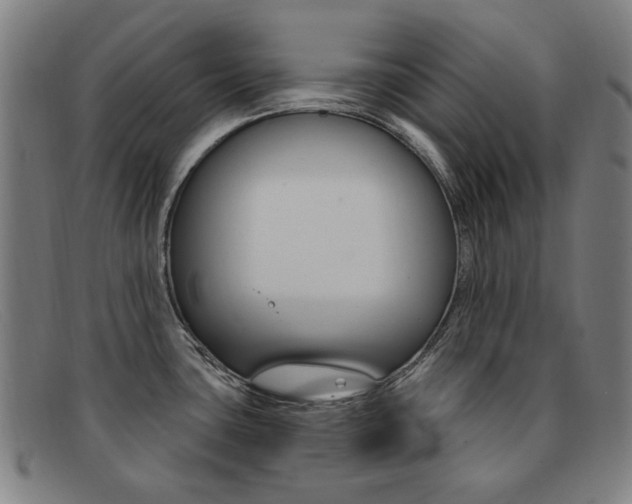 X0000092111435200709121121