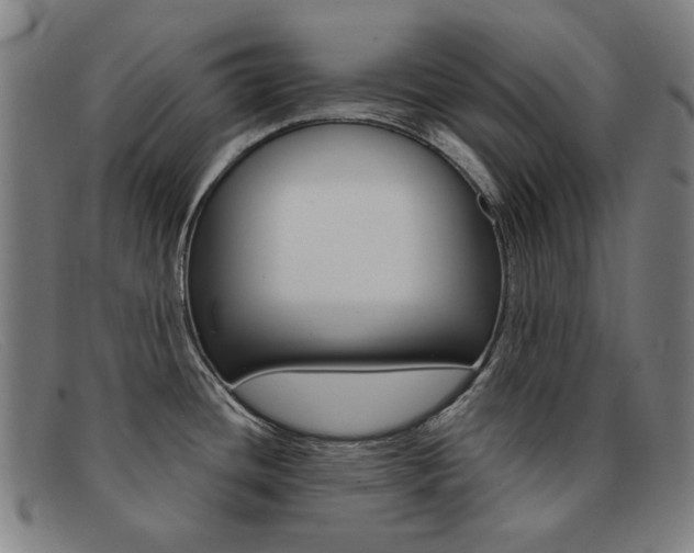 X0000092111436200709121121