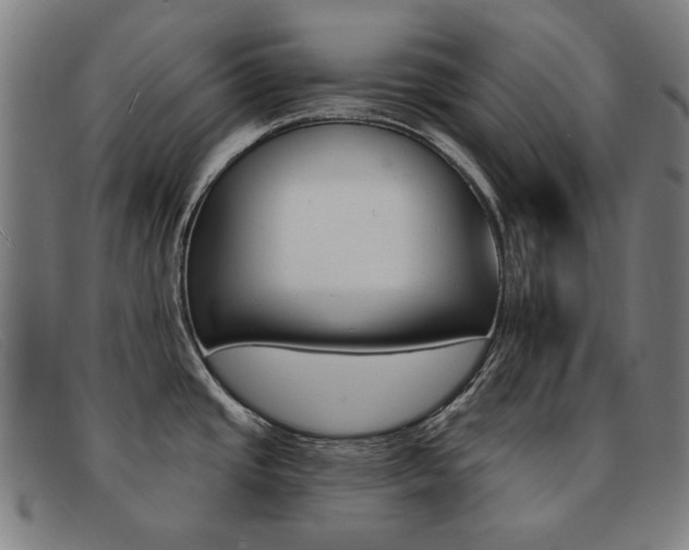 X0000092111437200709121121