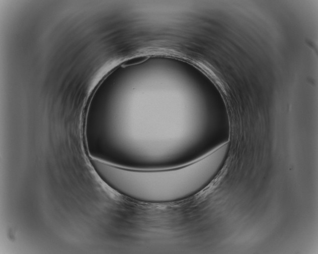 X0000092111438200709121121