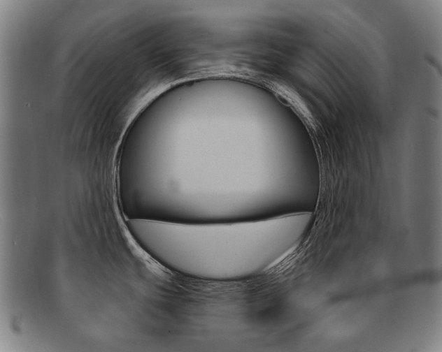 X0000092111439200709121121