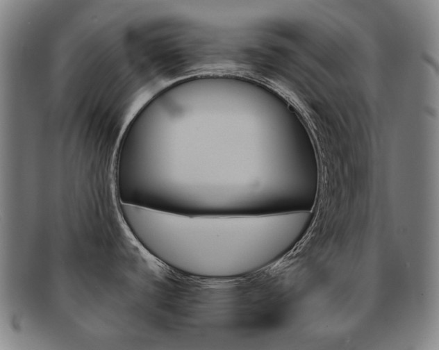 X0000092111440200709121121