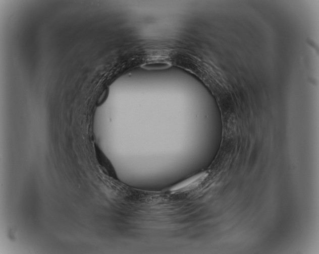 X0000092111441200709121120
