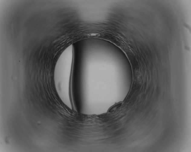 X0000092111442200709121120