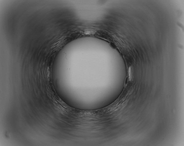 X0000092111443200709121120