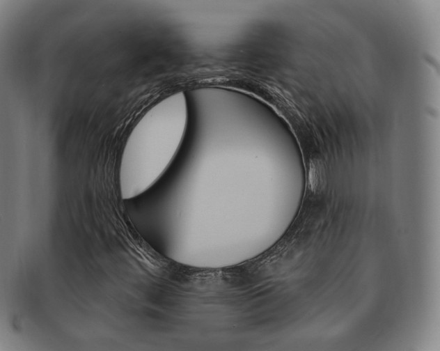 X0000092111444200709121120
