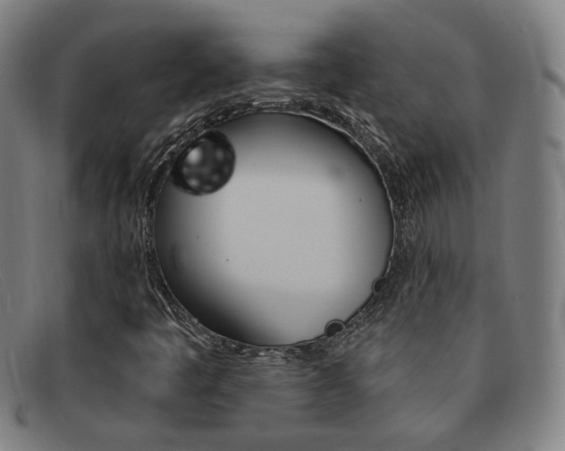 X0000092111445200709121120