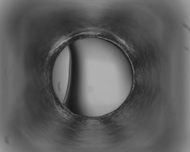 X0000092111448200709121120