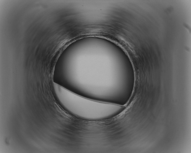 X0000092111449200709121120