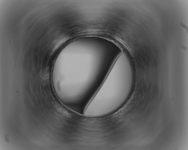 X0000092111450200709121120