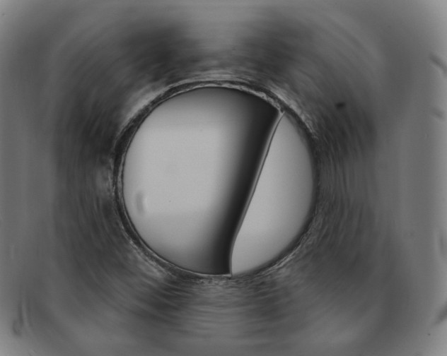 X0000092111452200709121120