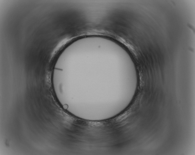 X0000092111454200709121120