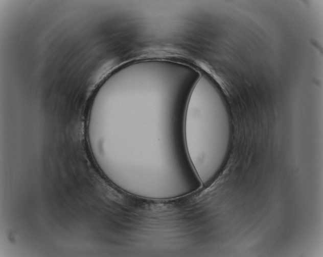 X0000092111459200709121120