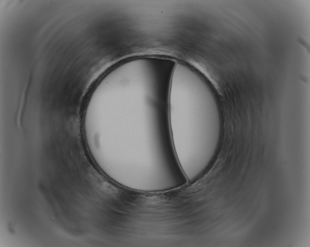 X0000092111460200709121120
