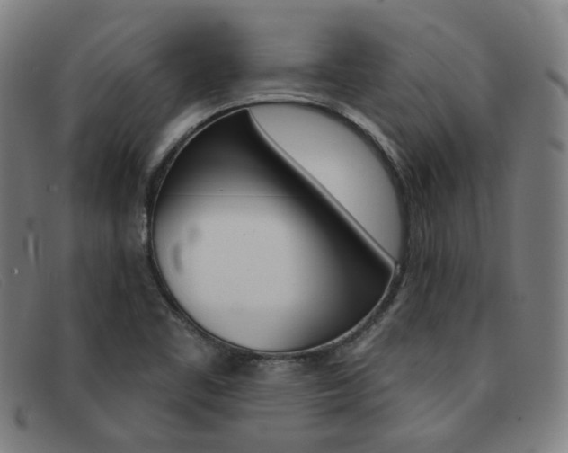 X0000092111461200709121120