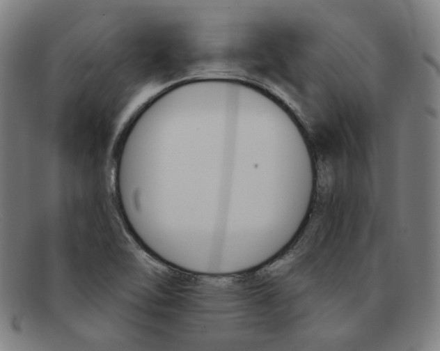 X0000092111462200709121120
