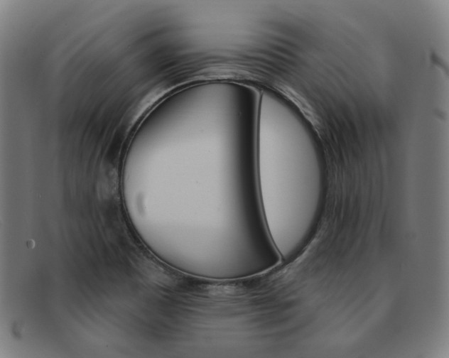 X0000092111465200709121120