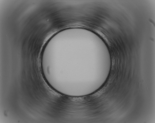 X0000092111466200709121120