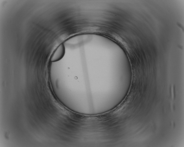 X0000092111467200709121120