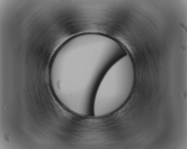 X0000092111468200709121120