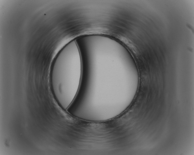 X0000092111469200709121120