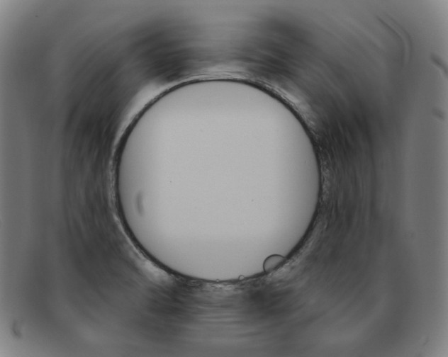 X0000092111470200709121120
