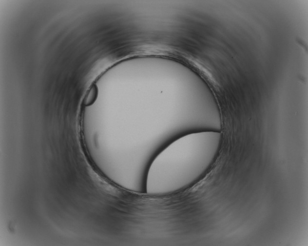 X0000092111471200709121120