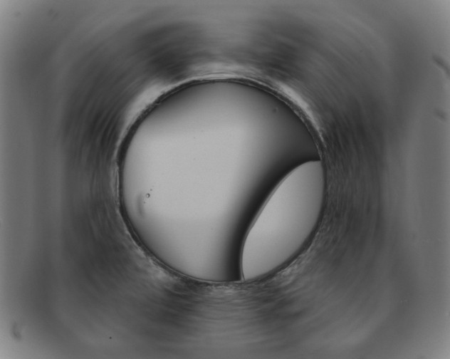 X0000092111472200709121120