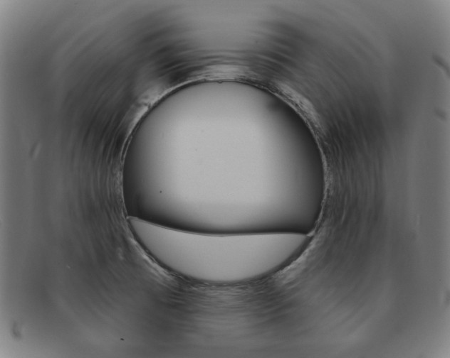 X0000092111473200709121120