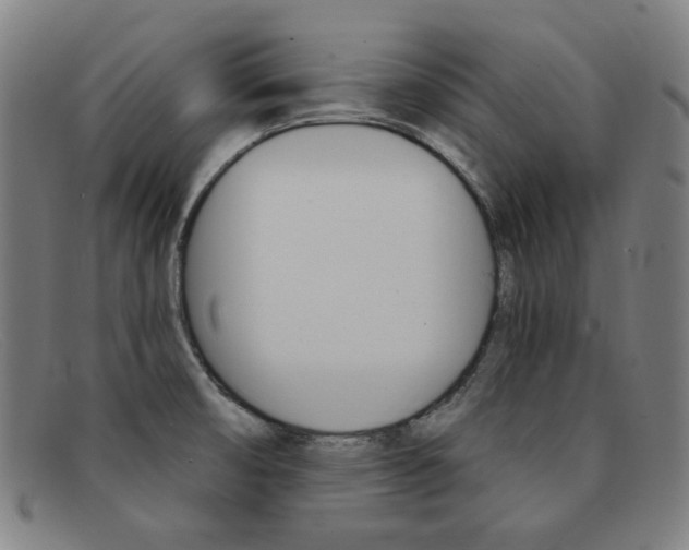 X0000092111474200709121120