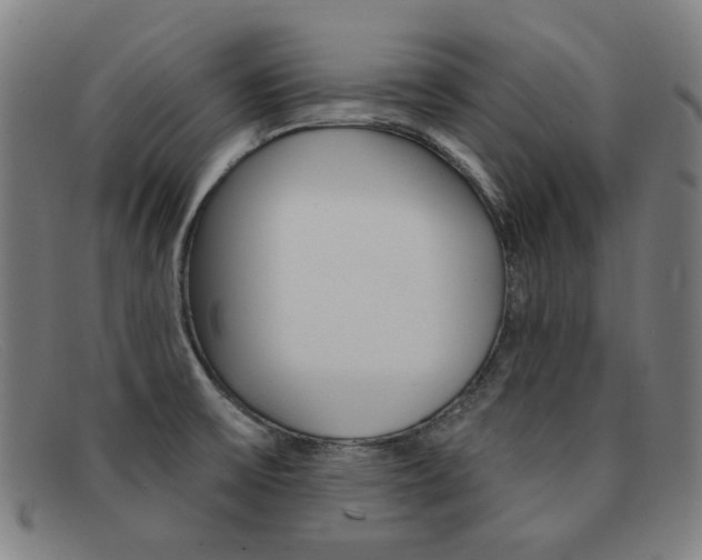 X0000092111475200709121120