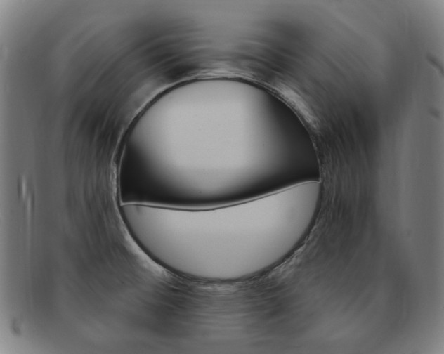 X0000092111476200709121120