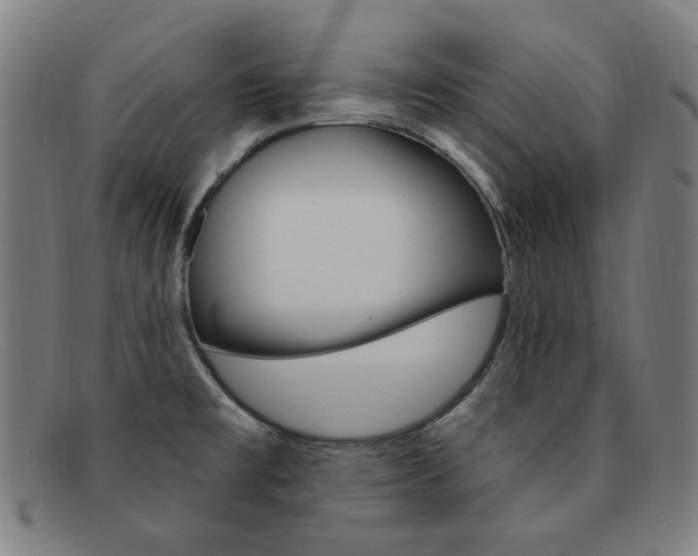 X0000092111477200709121120
