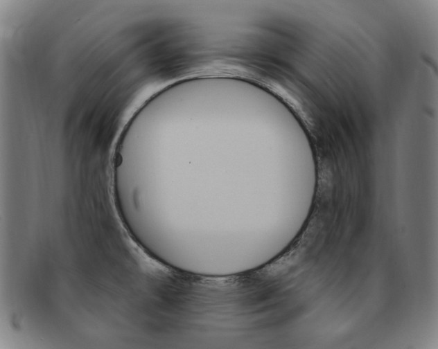 X0000092111478200709121120
