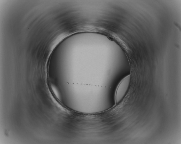 X0000092111479200709121120