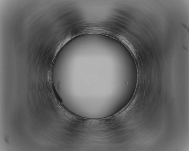 X0000092111481200709121120