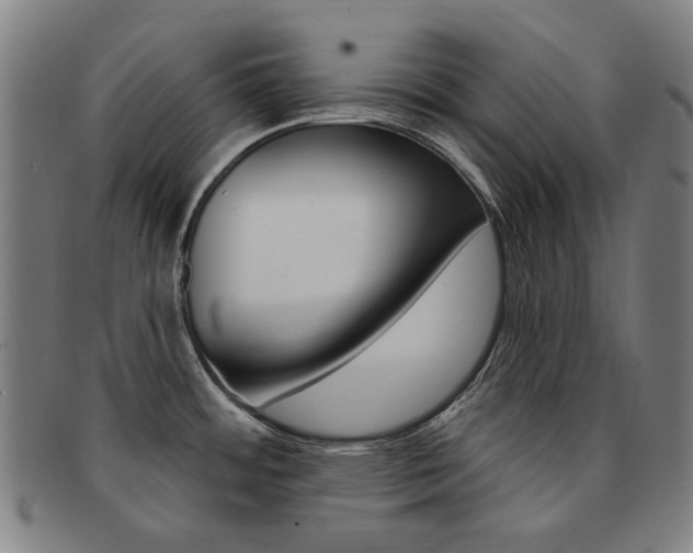 X0000092111484200709121120