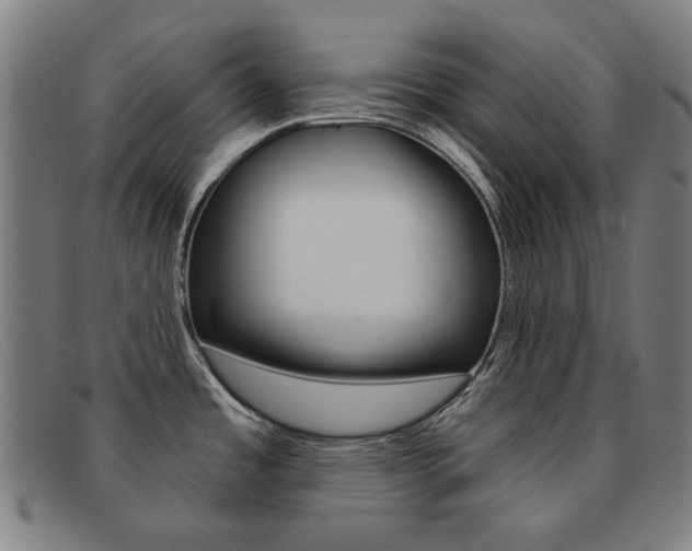 X0000092111485200709121120