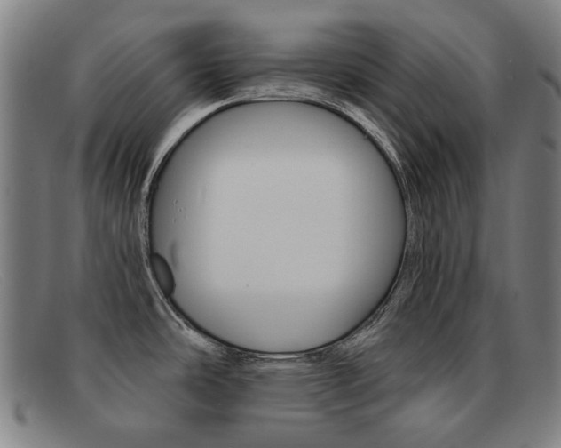 X0000092111486200709121120