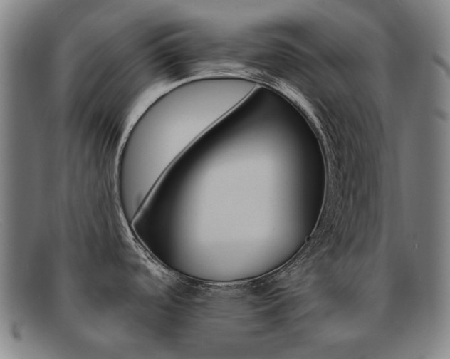 X0000092111488200709121119
