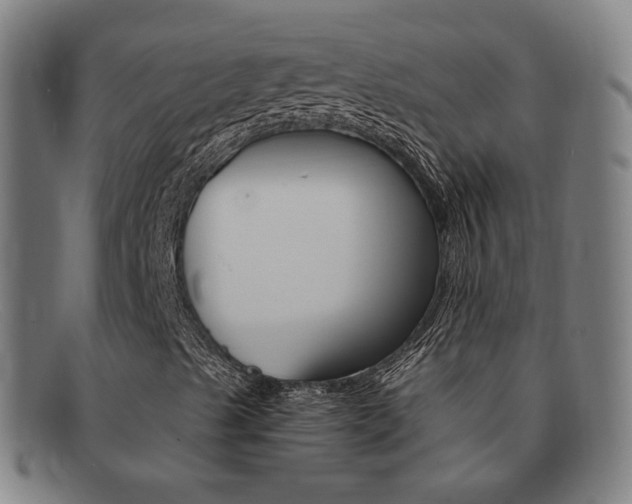 X0000092111489200709121119