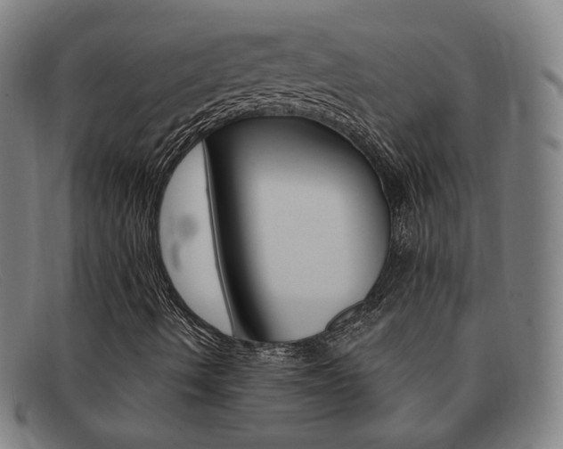 X0000092111490200709121119