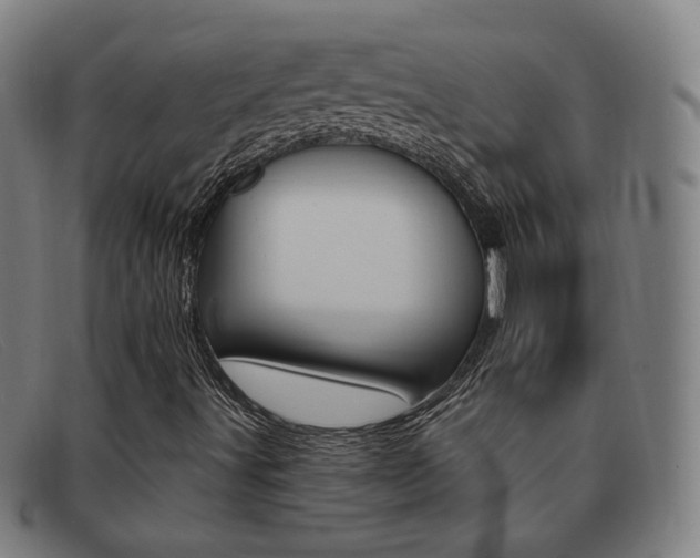 X0000092111491200709121119