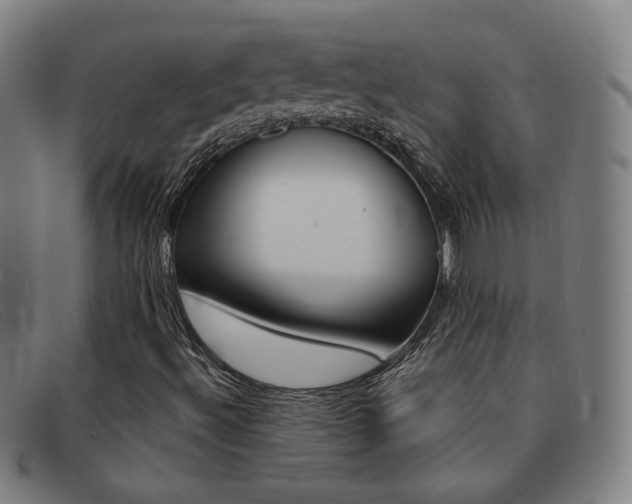 X0000092111492200709121119
