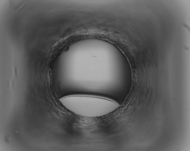 X0000092111493200709121119