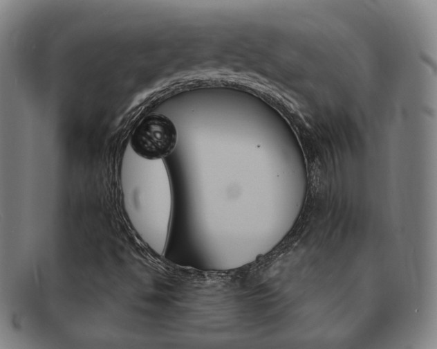 X0000092111494200709121119