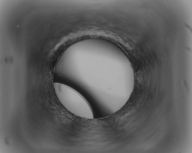 X0000092111495200709121119